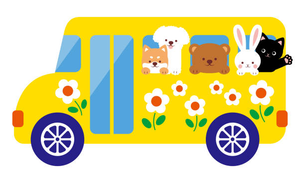 940+ Dog Bus Stock Illustrations, Royalty-Free Vector Graphics