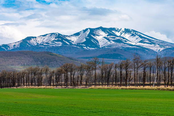 istock Rural landscapes. Rolling mountain range, farmland field and blue sky 1939152630