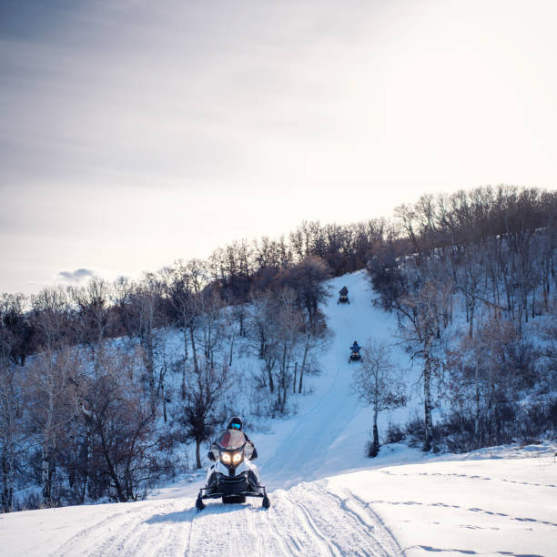 Snowmobile tour in Colorado, USA