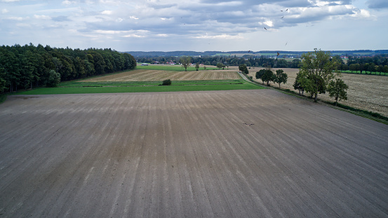 A freshly plowed field with rich, dark soil stretching out before a majestic forest backdrop