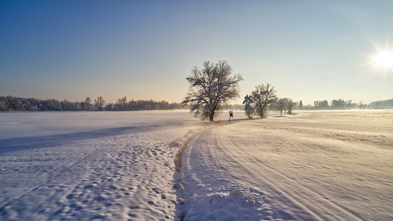 A winter landscape with a sunset casting a glow over a snow-covered field