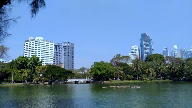 Lumphini Park Bangkok, Thailand - January 14, 2018 : View towards the Silom and Sathorn business districts from Lumphini Park in Bangkok. silom stock pictures, royalty-free photos & images