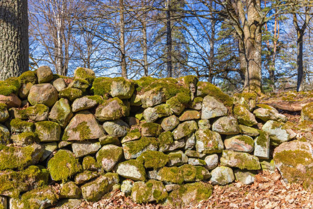istock Stone wall with moss in a pasture in spring 1939254180