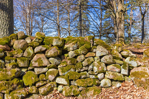 Stone wall with moss in a pasture in spring