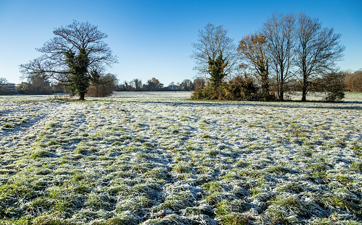 Merrow Downs cold morning local park in Guildford Surrey England Europe