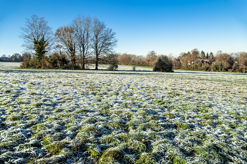 Merrow Downs cold morning local park in Guildford Surrey England Europe