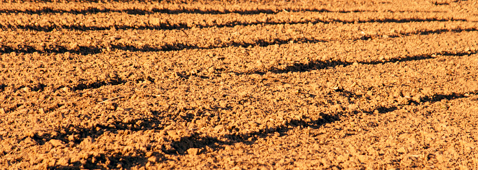 Background of newly plowed field banner