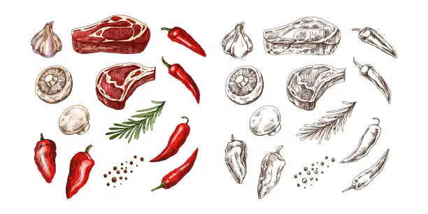 Vector illustration of A set of hand-drawn colored and monochrome sketches of barbecue elements. For design of the menu, grilled food. Pieces of meat and vegetables with seasonings.