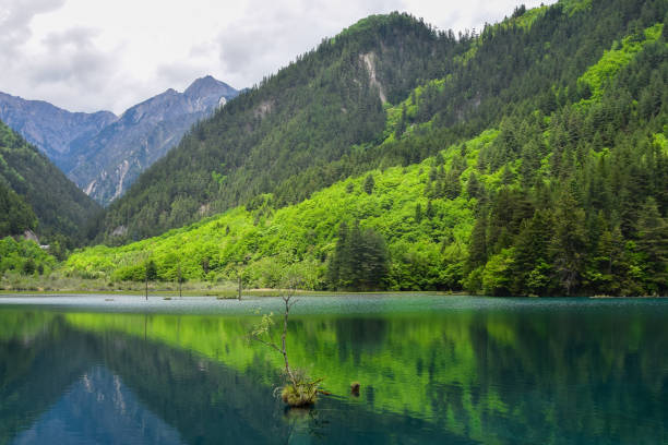 istock Jiuzhai Valley National Park Summer View 1939271440