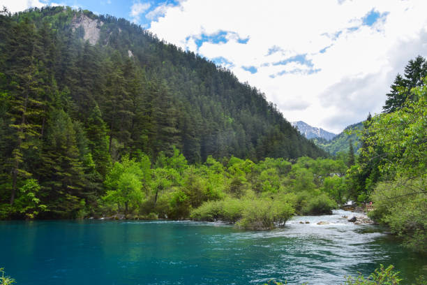 istock Jiuzhai Valley National Park Summer View 1939272993