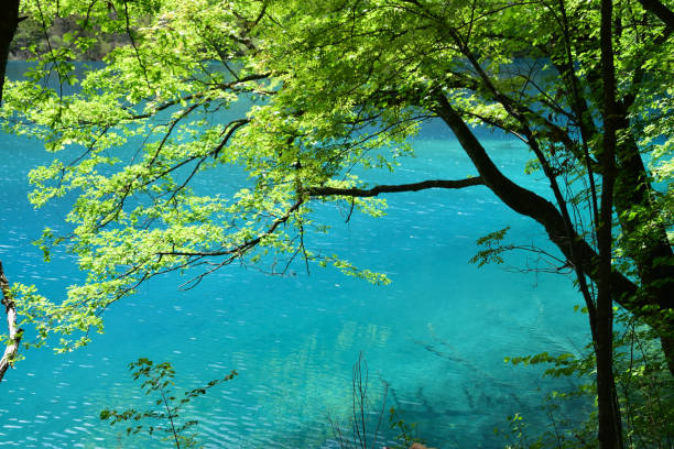Jiuzhaigou(Jiuzhai Valley) is a nature reserve and national park located in the north of Sichuan Province in southwestern China. A long valley running north to south, Jiuzhaigou was inscribed by UNESCO as a World Heritage Site in 1992 and a World Biosphere Reserve in 1997.