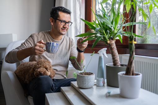 Man Taking Care Of Houseplants At Home