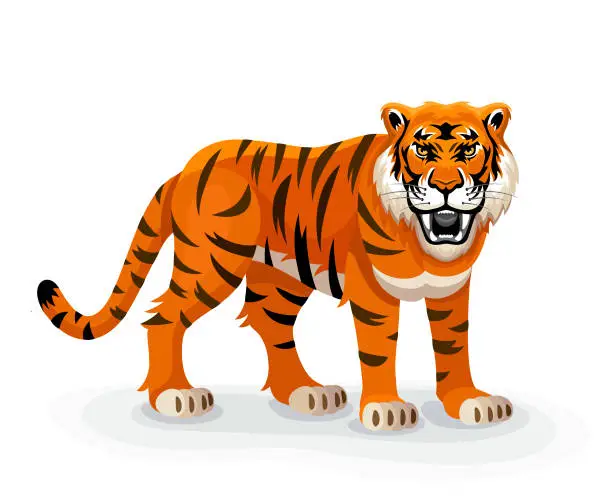 Vector illustration of Angry Tiger Roaring. Tiger Tattoo. Mascot Creative Design.