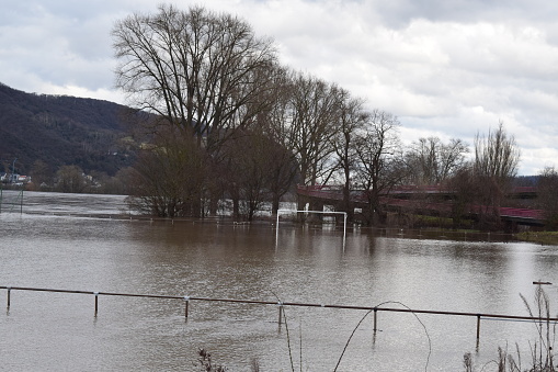 Rhine flood on the football field