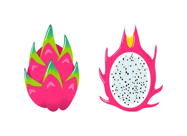 Vector illustration of Pitahaya. Dragon fruit. Healthy food, vegans. Veganuary. Cactus. Vector illustration in flat style. For menu, cafe, stickers posters design