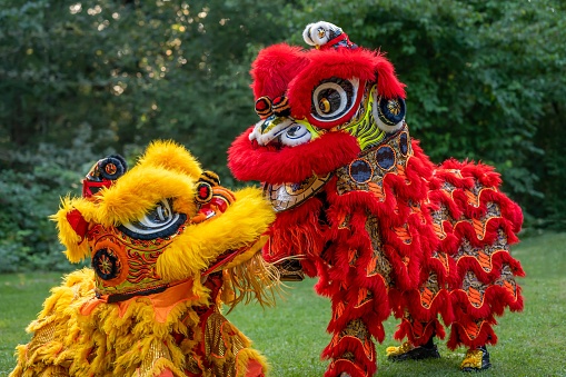 Traditional lion dance. Yellow and red lion. Celebration in Chinese New Year.