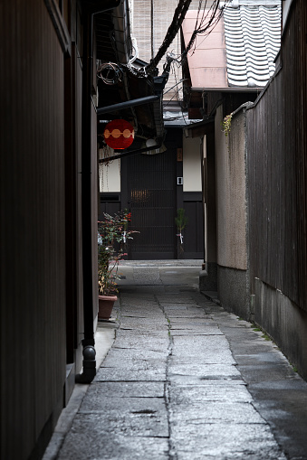 The quiet backstreets of Gion, a historic district in Kyoto, Japan, are a picturesque and serene escape from the bustling city. Lined with traditional wooden machiya houses, these narrow lanes exude a sense of timeless charm. The streets, often paved with stone, are adorned with beautifully maintained flower pots and lanterns, creating a tranquil ambiance. By evening, the soft glow of street lights casts a warm, inviting light, further enhancing the area's peaceful and mystical aura. This hidden gem, steeped in history and culture, offers a glimpse into the old-world beauty of Kyoto.