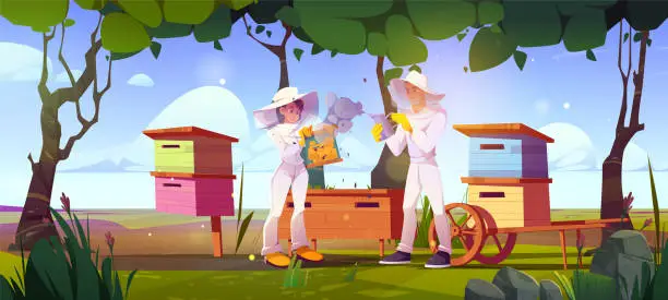 Vector illustration of Two beekeepers working at bee farm