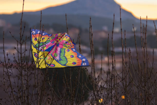 Kite in a tree