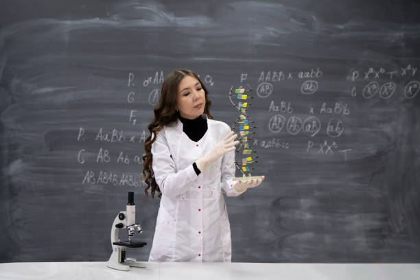 young asian professor in the university showing DNA model in classroom