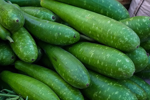 A large quantity of fresh cucumbers neatly arranged and stacked on a table