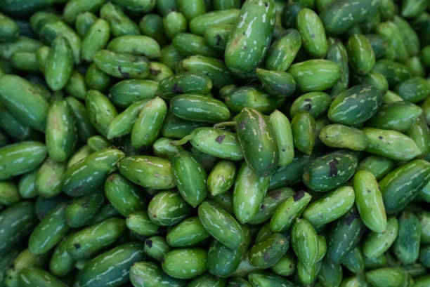 istock Large quantity of fresh cucumbers neatly arranged and stacked on a table 1939386281
