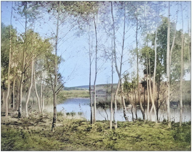 istock Antique photo of paintings: Landscape 1939412158