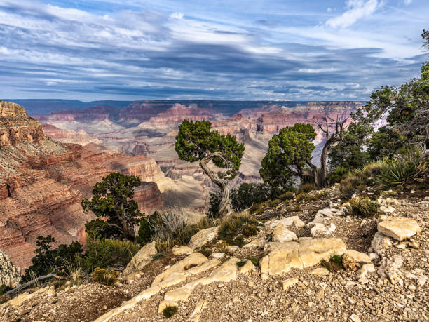 istock Grand Canyon panorama in Arizona, USA 1939415530