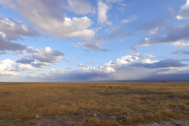 Summer landscape with withered grass field, sunny blue sky and clouds. Nature landscape