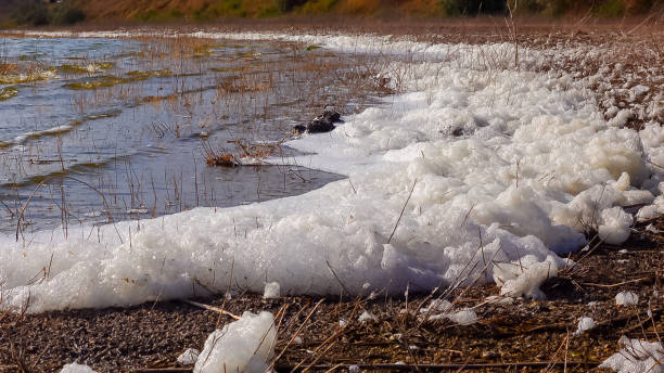 istock Environmental problem and pollution, eutrophication of a natural reservoir, dirty foam on the shore, Tiligul estuary 1939449631