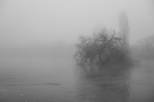 Misty morning with empty landscape and wooden pier