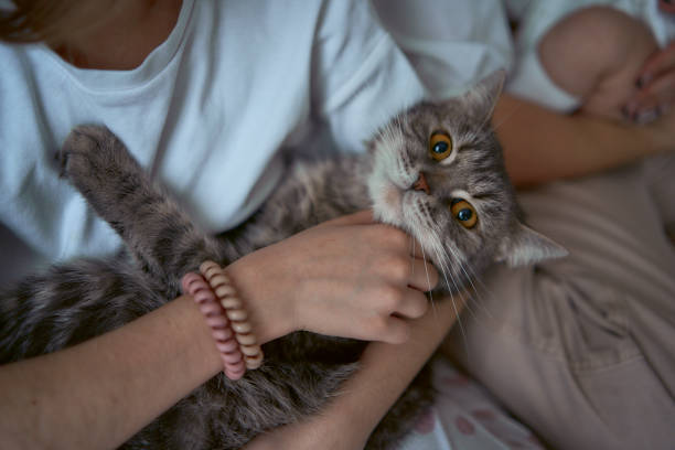 istock girl plays with a cat 1939491277