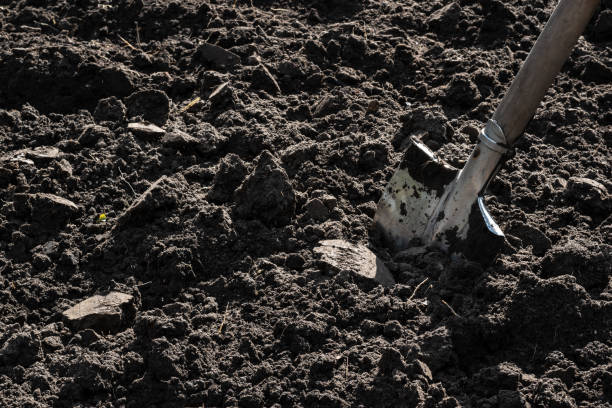 istock Tilled soil on a homestead plot. A shovel stuck in the ground 1939500016