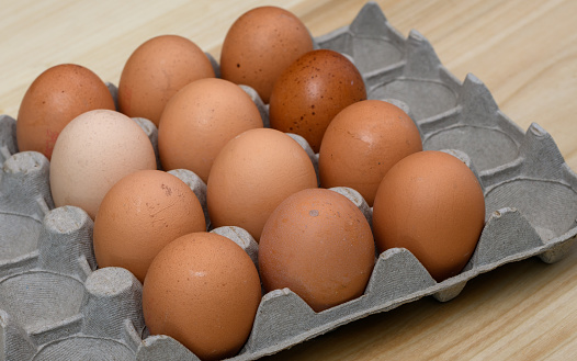 Stock photo showing close-up view of batch of six chicken eggs in disposable cardboard egg tray. Odd one out concept with one white chicken egg surrounded by five brown eggs.