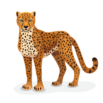 Graceful cheetah. Cheetah Tattoo. Mascot Creative Design.