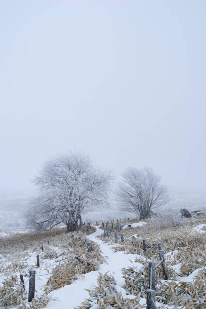 istock Winter plateau shrouded in mist 1939502260