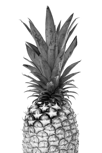 Top part of a pineapple in black and white on a white background