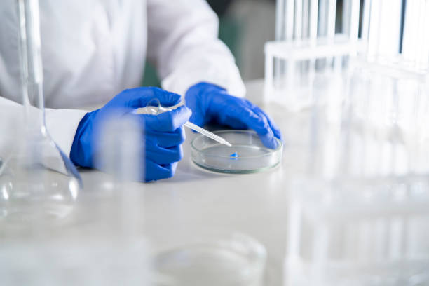 istock person in white uniform hold petri dish with bio samples 1939549547