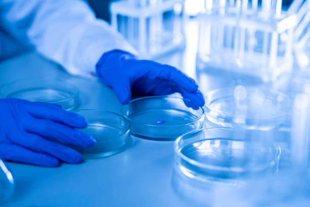 istock person in white uniform hold petri dish with bio samples 1939549555