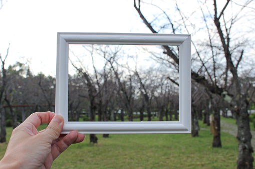 Hand holding blank wooden picture frame