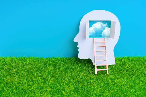 Male head paper cutout with a wooden ladder leading to the open window in the brain area, set against green lawn and blue sky backdrop, offering a view of drifting clouds. Expanding the horizons.