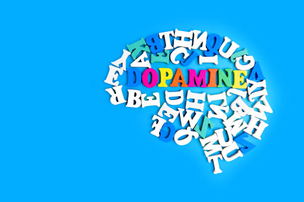 istock Wooden Letters Arranged into a Human Brain Shape and 'Dopamine' Word 1939617787