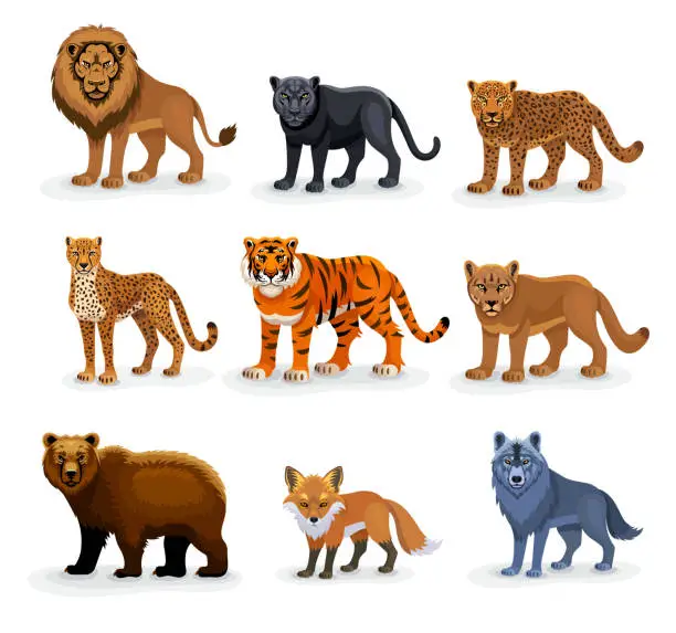 Vector illustration of Terrestrial animals. Cartoon illustration featuring a lion, tiger, cheetah, leopard, wolf, bear, fox, puma, and black leopard.