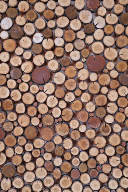 istock Background of tree stumps, natural wood background 1939638191