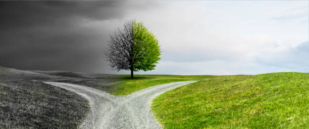 istock Crossroads on a path through a hilly landscape 1939646285