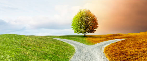 istock Crossroads on a path through a hilly landscape 1939646806