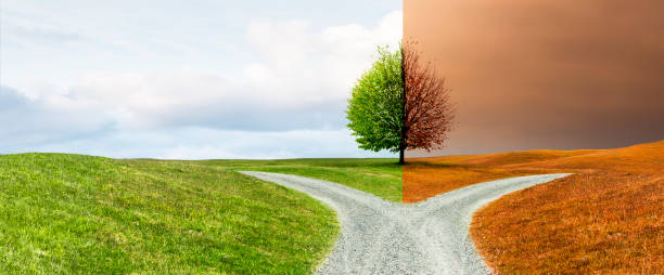 istock Crossroads on a path through a hilly landscape 1939646807