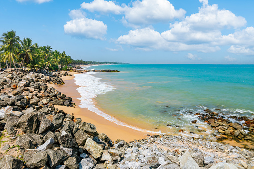 A tropical beach landscape with palm trees leaning over a golden sandy beach with turquoise ocean waves gently crashing against the shore under a clear blue sky. The coastal landscape is adorned with lush greenery and rocks. The sand on the beach is golden and appears soft and fine. Rocks are scattered along parts of the beach adding texture to the landscape. In the background, more greenery and structures are faintly visible under a clear blue sky.