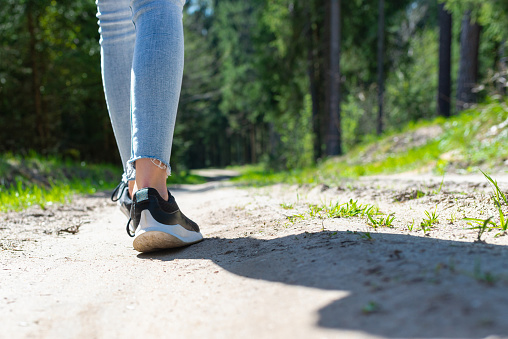 Rear view photo of female tourist legs with sneakers walking in a forest road.Summer day sunshine.