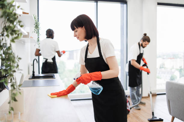 istock Housekeeper team in uniform apron cleaning service team at home 1939719996